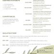 Mon cv 