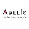 ADELIC