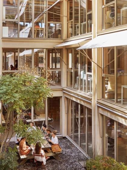 Patio, jardin