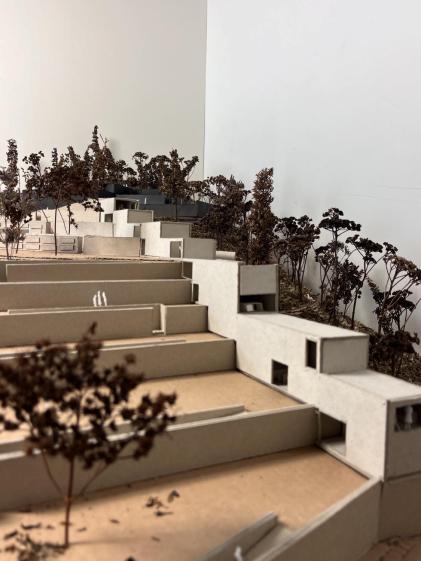 Projet Master 1 : "Nice est un ailleurs" - funérarium 