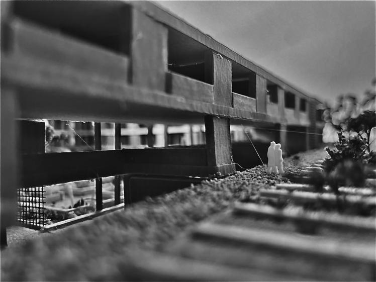 Projet de fin d'étude : "La conception architecturale au service du handicap intellectuel" 