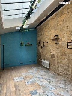 LOCAL PROFESSIONNEL & COMMERCIAL LUMINEUX de CARACTERE - 81 M2 - PARIS 10ème - Rue piétonne végétalisée calme Paris 10ème – Porte Saint-Martin – rue Gustave Goublier / Gare de l’EST