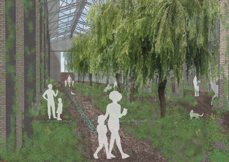 AUTOUR DES SAULES. Perspective intérieure pépinière