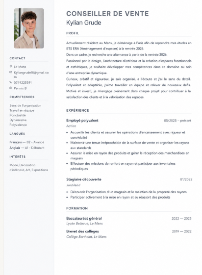 Cv pdf