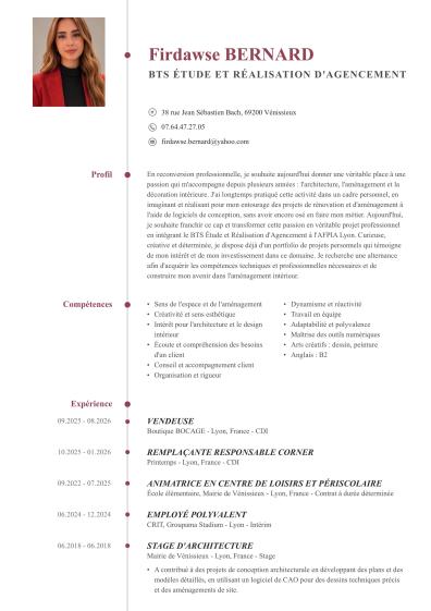 Mon cv 