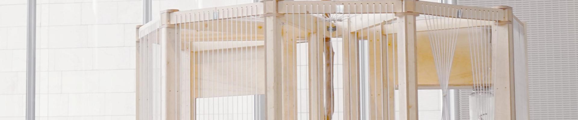 dsc09738_copie.jpg dsc09738_copie.jpg