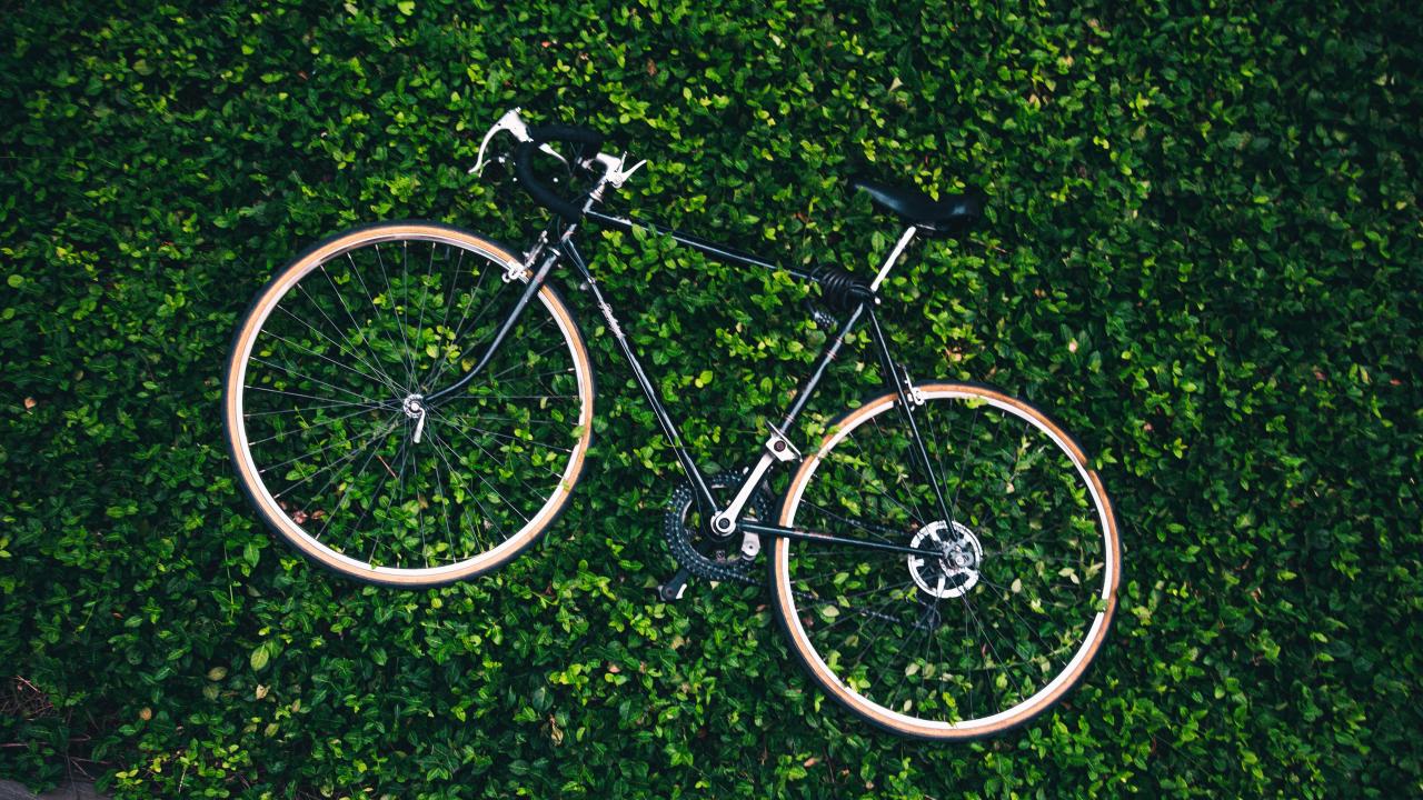 bicycle-in-the-garden_4460x4460.jpg