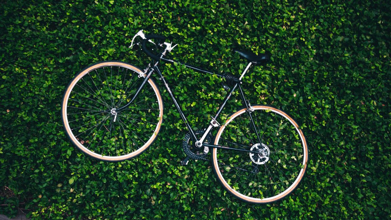 bicycle-in-the-garden_4460x4460.jpg bicycle-in-the-garden_4460x4460.jpg