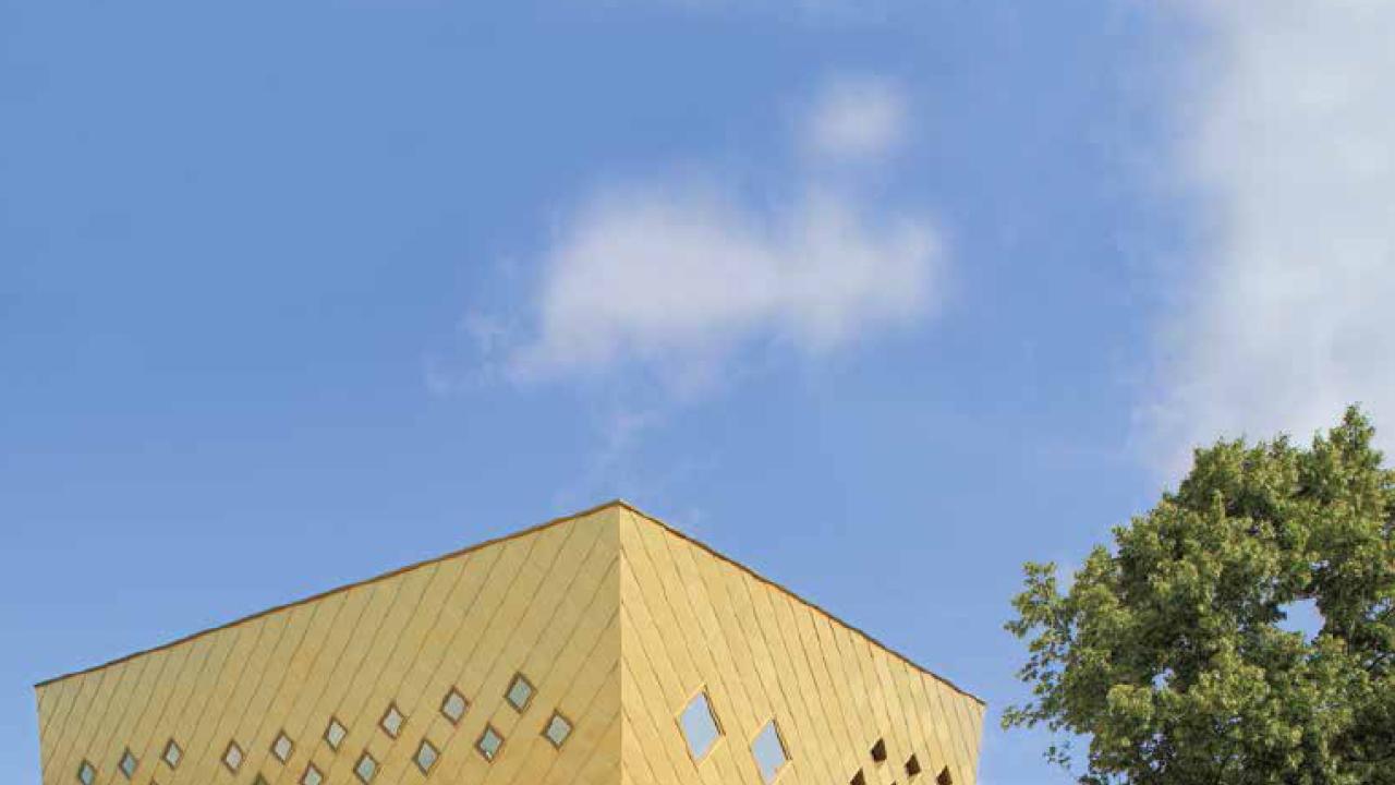 cdp58.jpg cdp58.jpg