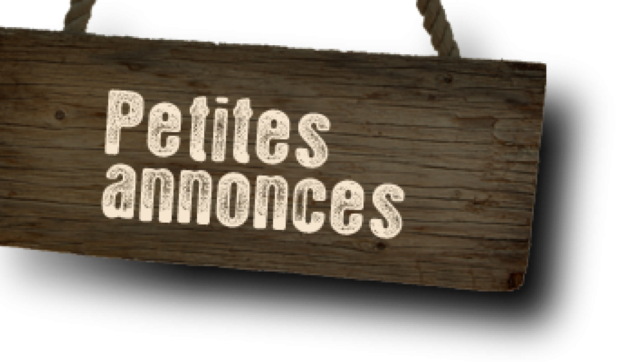 petites_annonces.png