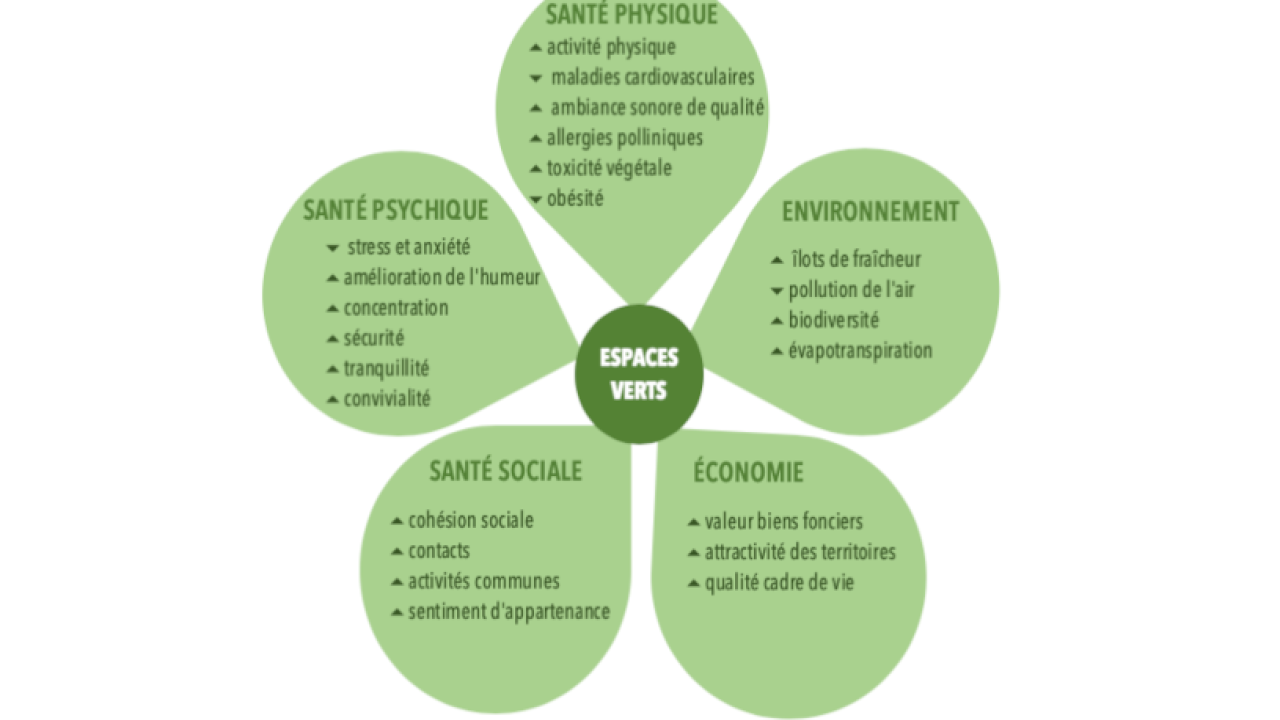 action-du-vegetal-en-ville.png action-du-vegetal-en-ville.png
