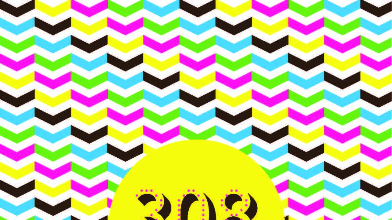 Journal 308 #29 couverture