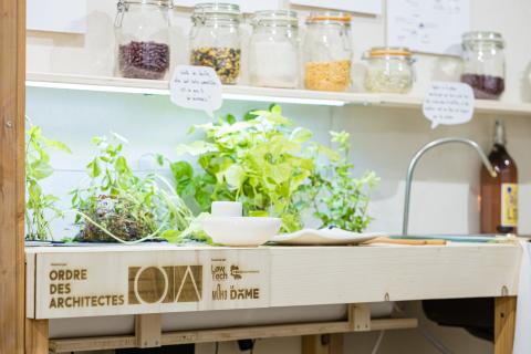 Exposition Biosphère Urbaine