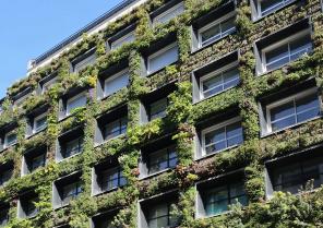 facade_vegetalisee.jpg
