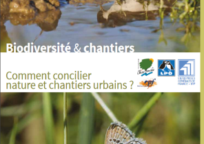 Comment concilier nature et chantiers urbains ?
