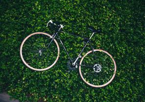 bicycle-in-the-garden_4460x4460.jpg
