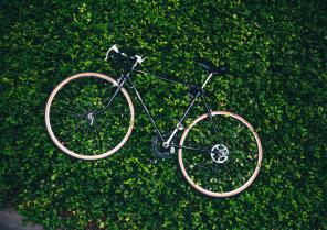 bicycle-in-the-garden_4460x4460.jpg