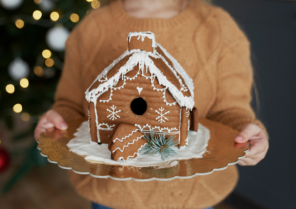Maison individuelle Noël.png