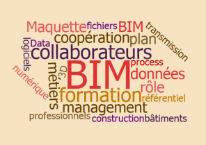 BIM mots