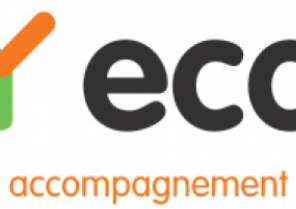 TY eco2