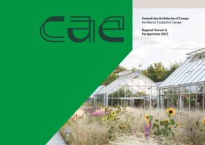 rapport-cae.jpg