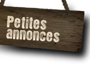 petites_annonces.png