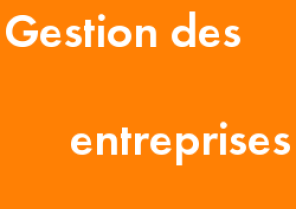 gestion-entreprises.png