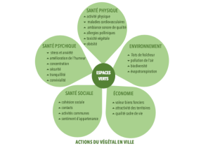 action-du-vegetal-en-ville.png