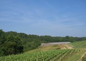 1_l1006002photos_cs.chalmeau_non_libre_de_droits.jpg