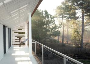 Dans les Pins. Benoit Bost Photographe. Projet Keypost / whyarchitecture