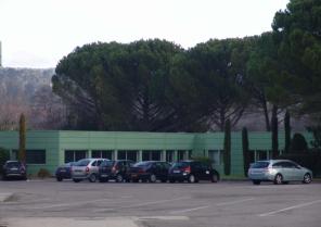 137.jpg
