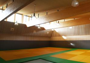dojo.jpg
