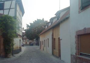 ILOTS BORNERT & CANARDS - SELESTAT (67)