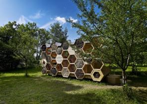 Construction d'une cabane (hôtel à insectes) dans le cadre du festival archi<20 