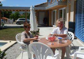 Les fraises du jardin