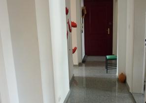 rénovation Schiltigheim