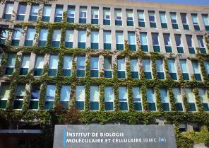 Remplacement de 320 fenêtres aluminium et stores extérieurs d'un laboratoire