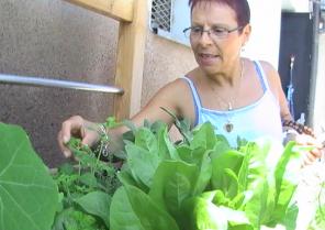 MIDE FMH- JARDIN POUR TOUS