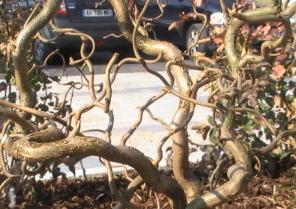 ESPACES EXTÉRIEURS MIDE " Préservation de l'ECO Système"