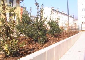 AMÉNAGEMENT DES ESPACES EXTÉRIEURS DE LA MIDE