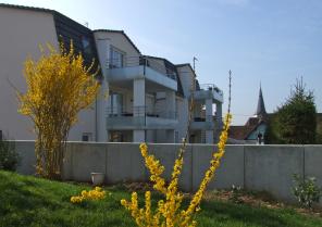 IMMEUBLE COLLECTIF JZ1