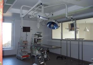 centre de recherche en chirurgie vétérinaire Strasbourg