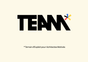 TEAM