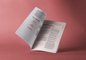 Rapport du CNOA