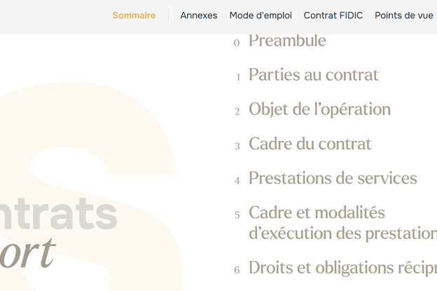 Guide révisé de l'AFEX