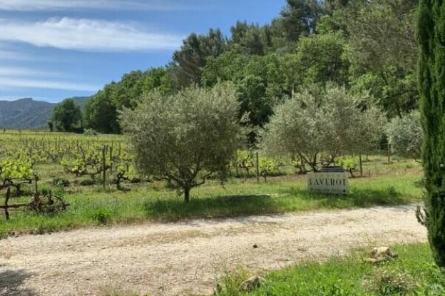 Vignes du domaine Faverot à Maubec