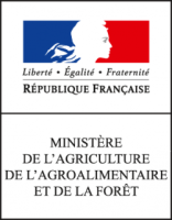 logo-draaf.png