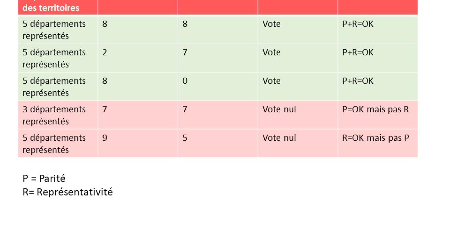 exemples_votes_elections_2024_2.jpg