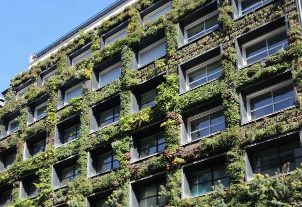 facade_vegetalisee.jpg