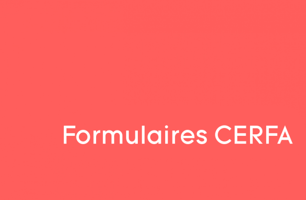 cerfa_visuel_generique.png cerfa_visuel_generique.png